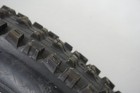 Picture 6 of 6