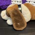 Picture 3 of 22