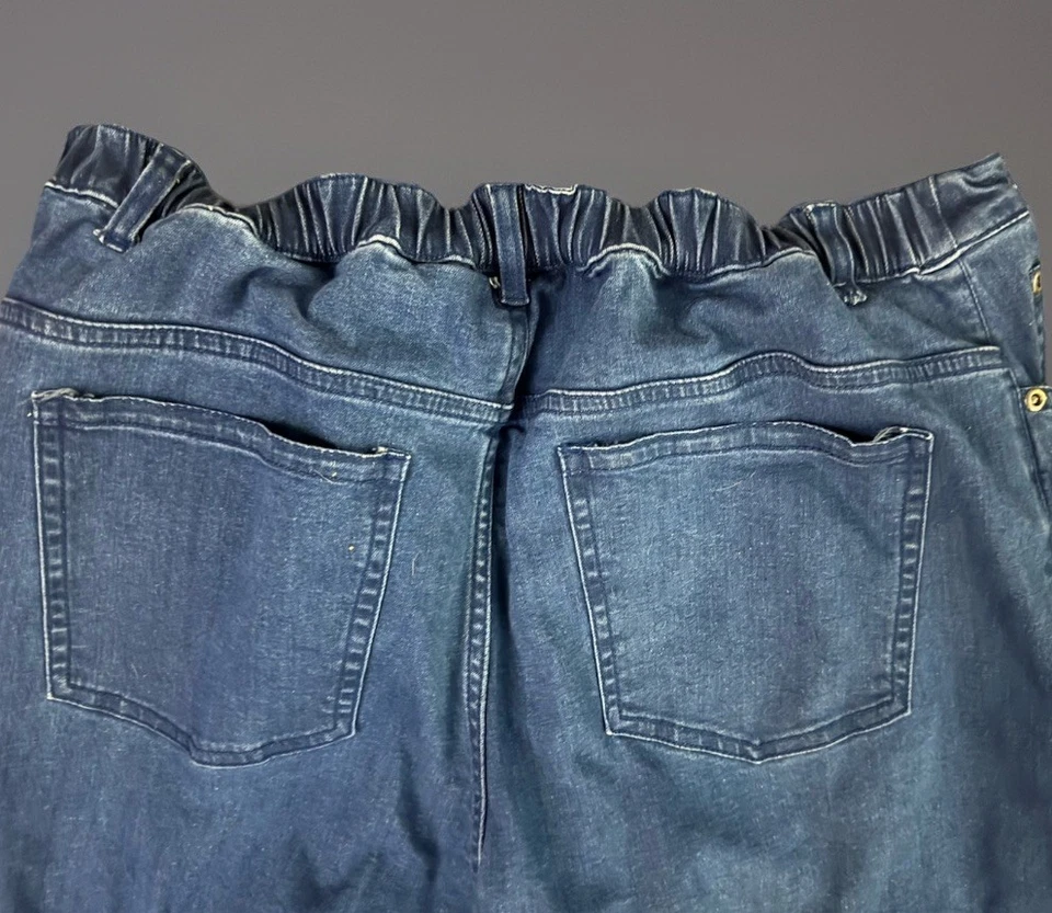 Pantalones de mezclilla para mujer Appleseeds talla 12 elásticos con cremallera azul cintura cómoda relajados Foto 3 de 4