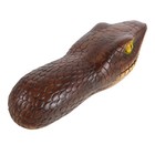  Animal Pool Floats Floating Pond Ornament Mini Snake Garden Decor Ornaments