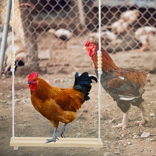 Parrot Swing Pet Chicken Standing mode Perch Bird Wooden Standing Perch Chick Wood