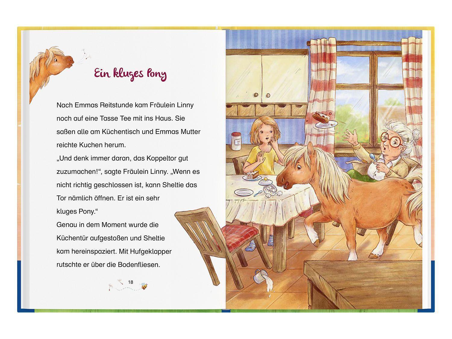 Thumbnail - Sheltie - Wie Sheltie Zu Uns Kam | Peter Clover | Deutsch | Buch | 96