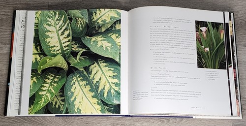 300 Extraordinary Plants : For Home and Garden Large Hardcover DJ Book Kramer, J - Picture 12 of 17