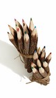 Set of 10 Fairtrade Rustic Coloured Twig Pencils