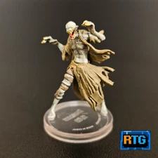 D&D Miniature - Nosferatu #11 - Dungeons and Dragons - Undead - RPG