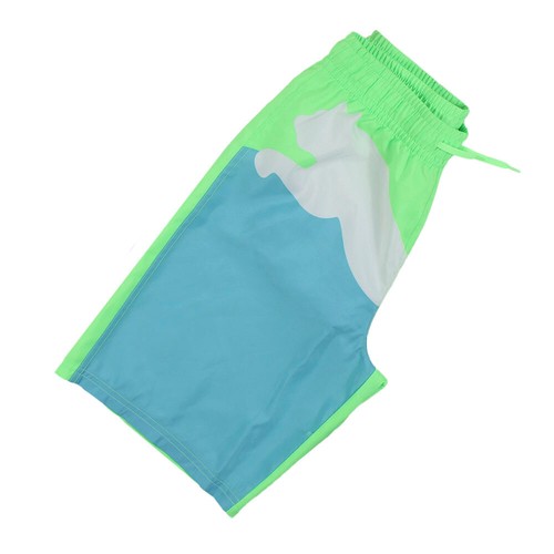 Puma Little Boy's Logo Casual Lifestyle Swim Shorts Green/Blue - Picture 3 of 5