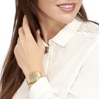 Imagen 25 de 32