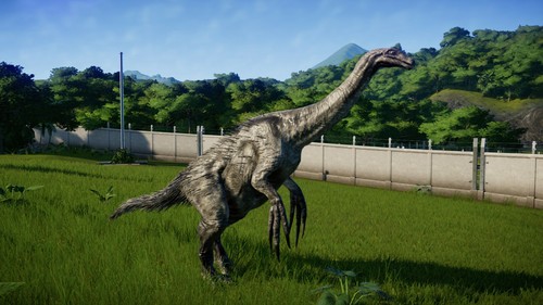 Patte et griffes de Therizinosaurus 60 cm museum quality raplica fossile - Imagen 5 de 5