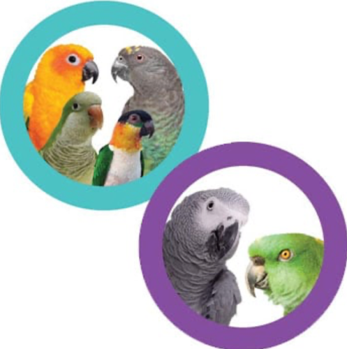 Fiesta Ball Stuffers 3 Pack Bird Toy Bird Foot Toy Parrot Toy Foraging Bird Toy - 第 2/2 張圖片