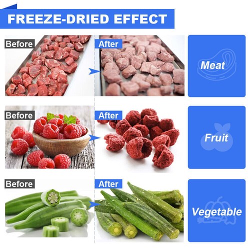 0.1㎡ Vacuum Freeze Dryer Lyophilizer Freezing Drying Oven with Vacuum Pump AU - Picture 9 of 11