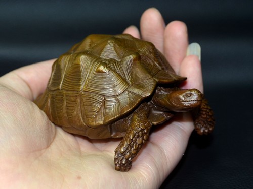 Bronze Geochelone Sulcata Tortoise Statue Artwork,Bookcase Decor Collectible - Picture 7 of 9