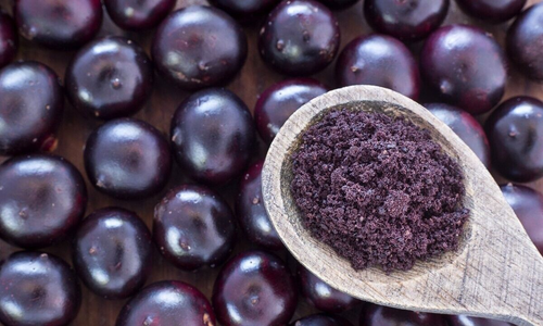 ORGANIC FREEZE DRY 100% PURE ACAI POWDER FROM AMAZONAS 4 OZ,BEST ANTIOXIDANT - Picture 4 of 4