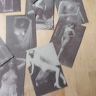 Bild 3 von 8