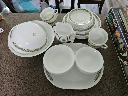 Corelle Spring Blossom grün Crazy Daisy Geschirr Teller Schüsseln Tassen Untertassen 41 Teile