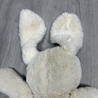 Foto 4 di 11