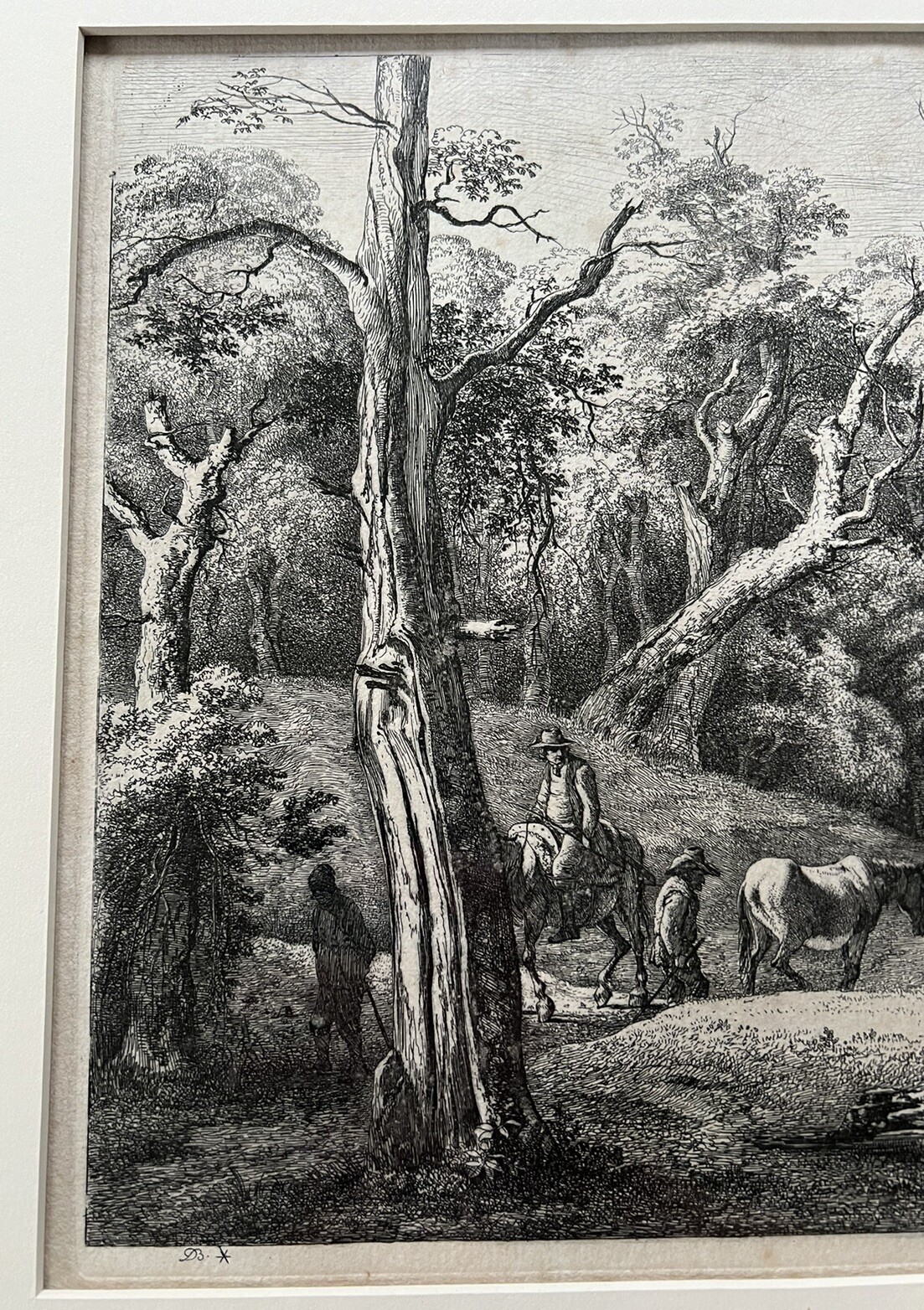 Picture 11 of 22