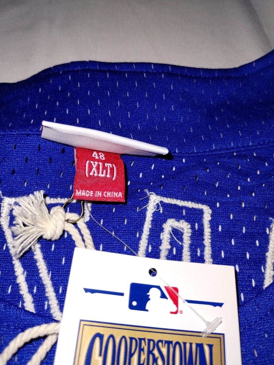 Mike Piazza LA Dodgers Jersey 50th Jackie Robinson