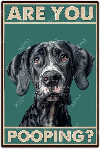 Tin Metal Signs Great Dane Are You Pooping Vintage Wall Decor 8x12