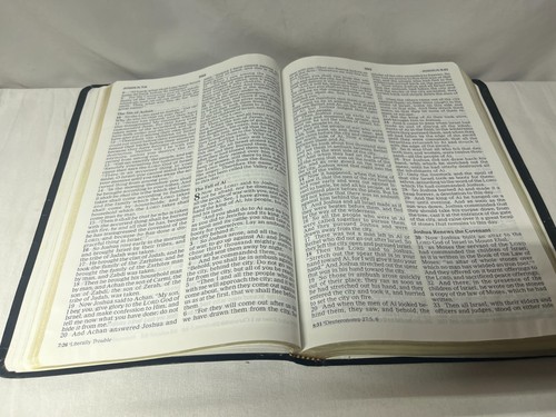 HOLY BIBLE NKJV 1985 NELSON 3514 - Imagen 11 de 12