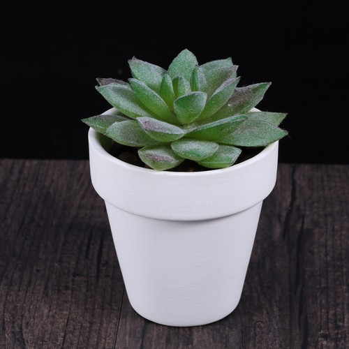 10Pcs Small White Terracotta Pot Clay Ceramic Pottery Planter Cactus Flower Pots - Bild 3 von 11