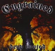 Engrained Deep Rooted (CD)