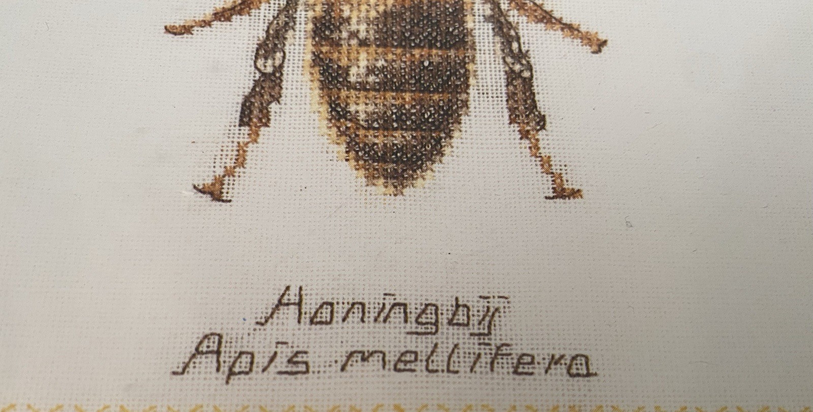 Picture 2 of 5