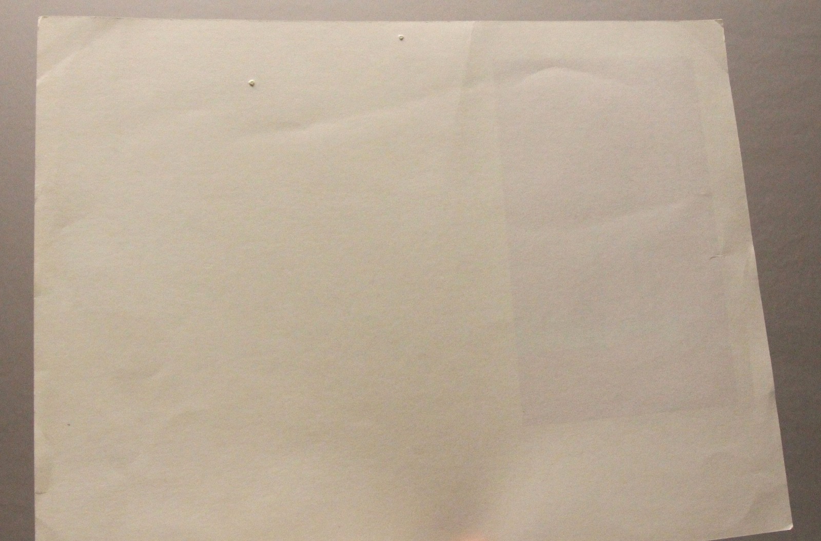 Foto 7 di 12