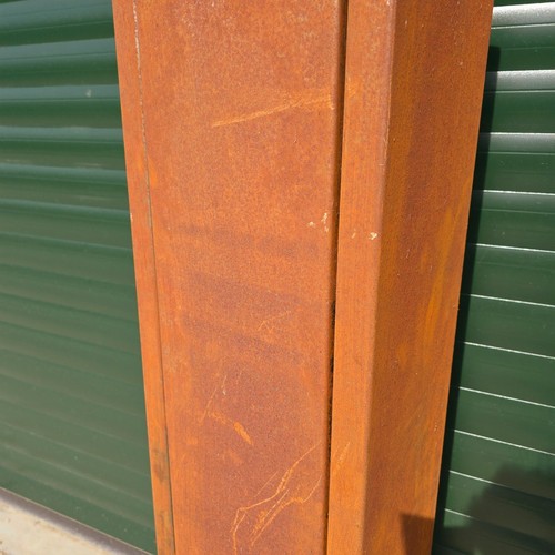 Vintage Steel Gun Rifle Shotgun Cabinet - Worn, Patinated and Rusty - Picture 5 of 17