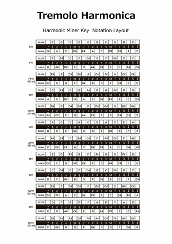 TOMBO Premium 21 Trémolo Armónica Clave Menor Envío Grabado - Imagen 4 de 4