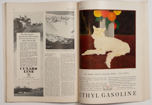February 1929 The Sportsman Magazine Guy Arnoux Cover Great Ads! - Foto 19 di 22