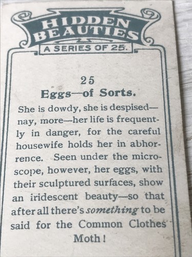 Players Cigarettes Card Hidden Beauties 25 Eggs Of Sorts Common Clothes Moth Egg - Picture 5 of 5
