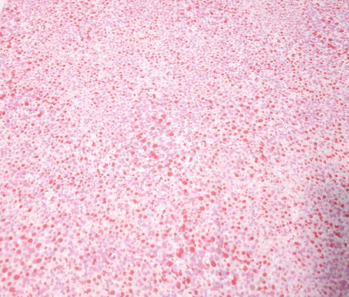 Still BTY Loralie Harris Quilting Treasures Colorful Pink Lavender White Dots