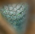 Bild 18 von 18