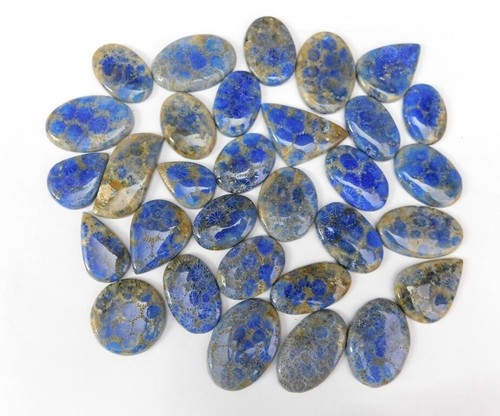 Lotti cabochon cabochon corallo fossile naturale di alta qualità - pietra preziosa cabochon sciolta 71763 - Foto 6 di 11