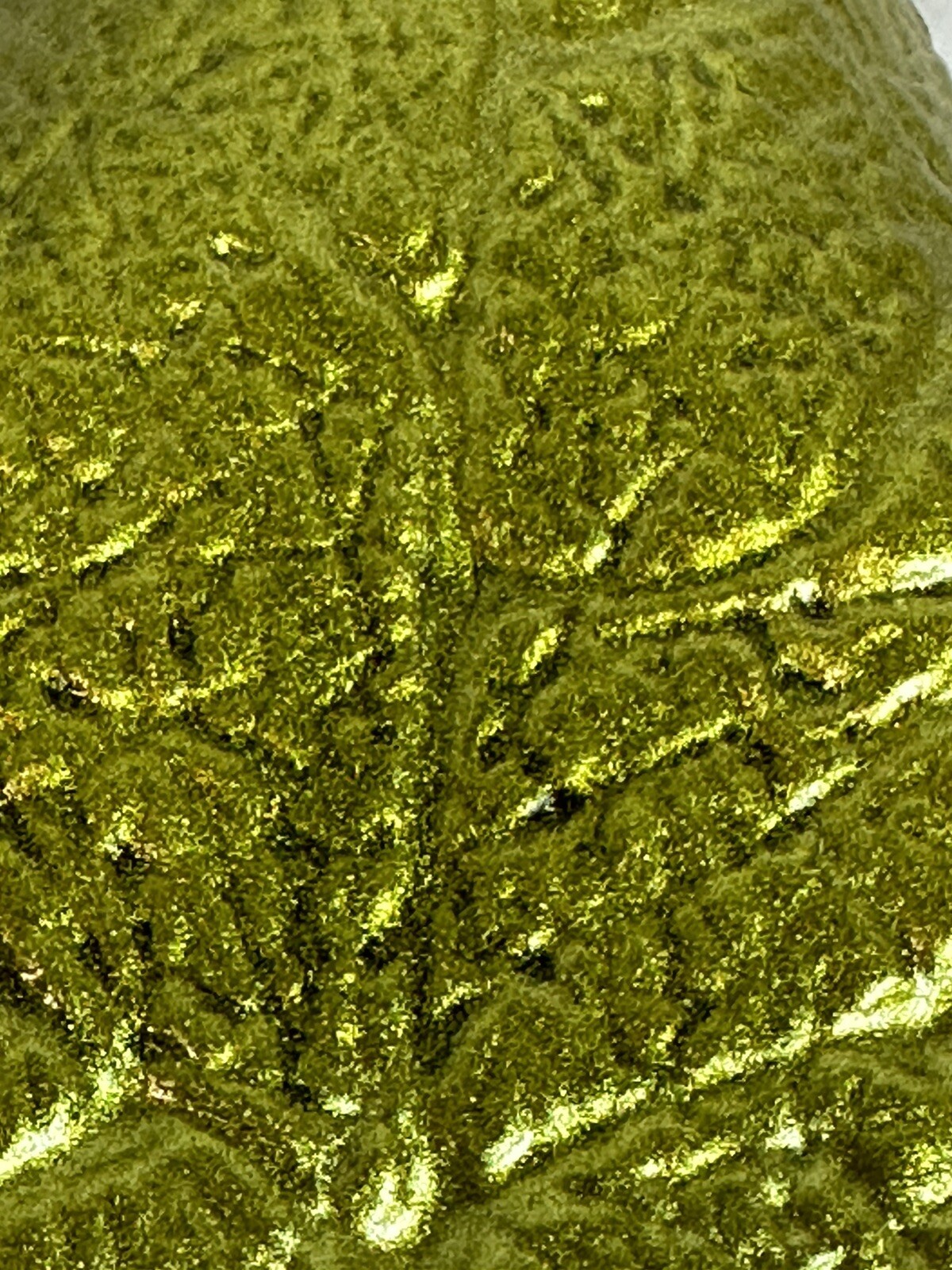 Picture 12 of 14