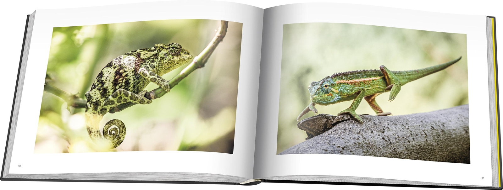 Thumbnail - Mountains Of The Moon Andreas Klotz