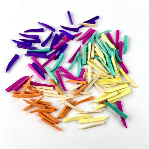 600 piezas cuñas dentales multicolores dentista relleno dental cuña de madera desechable - Imagen 3 de 9