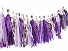 Frozen themed Party Purple Tissue Tassel &Balloons Baby Shower birthday party