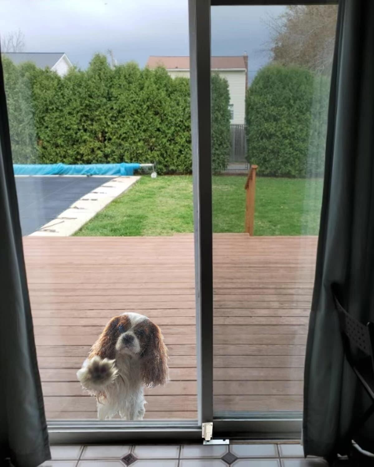 Foto 5 di 7
