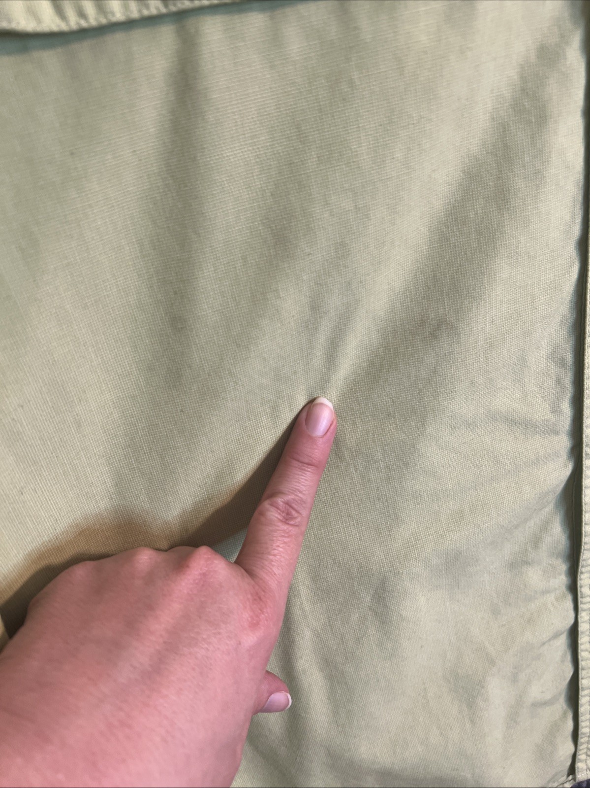 Picture 3 of 12