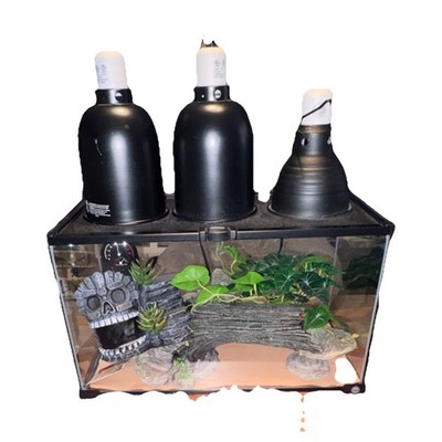 Thrive Glass Reptile Terrarium with Skull Cave Decor, Plants & Lighting Fixtures