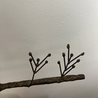 Picture 5 of 15