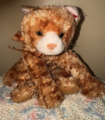 TY BEANIE CLASSIC Large APRICOT THE CAT PLUSH TOY STUFFY STUFFED ANIMAL  KITTEN