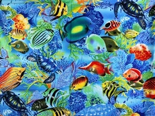 Michael Miller Fabrics Tropical Fish Quilt Fabric 44 x 3/4 Yard CX1418