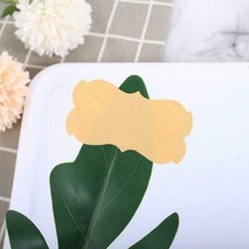 Chalkboard Blackboard Chalk Board Stickers Craft Kitchen Labels Jar Tags U.S