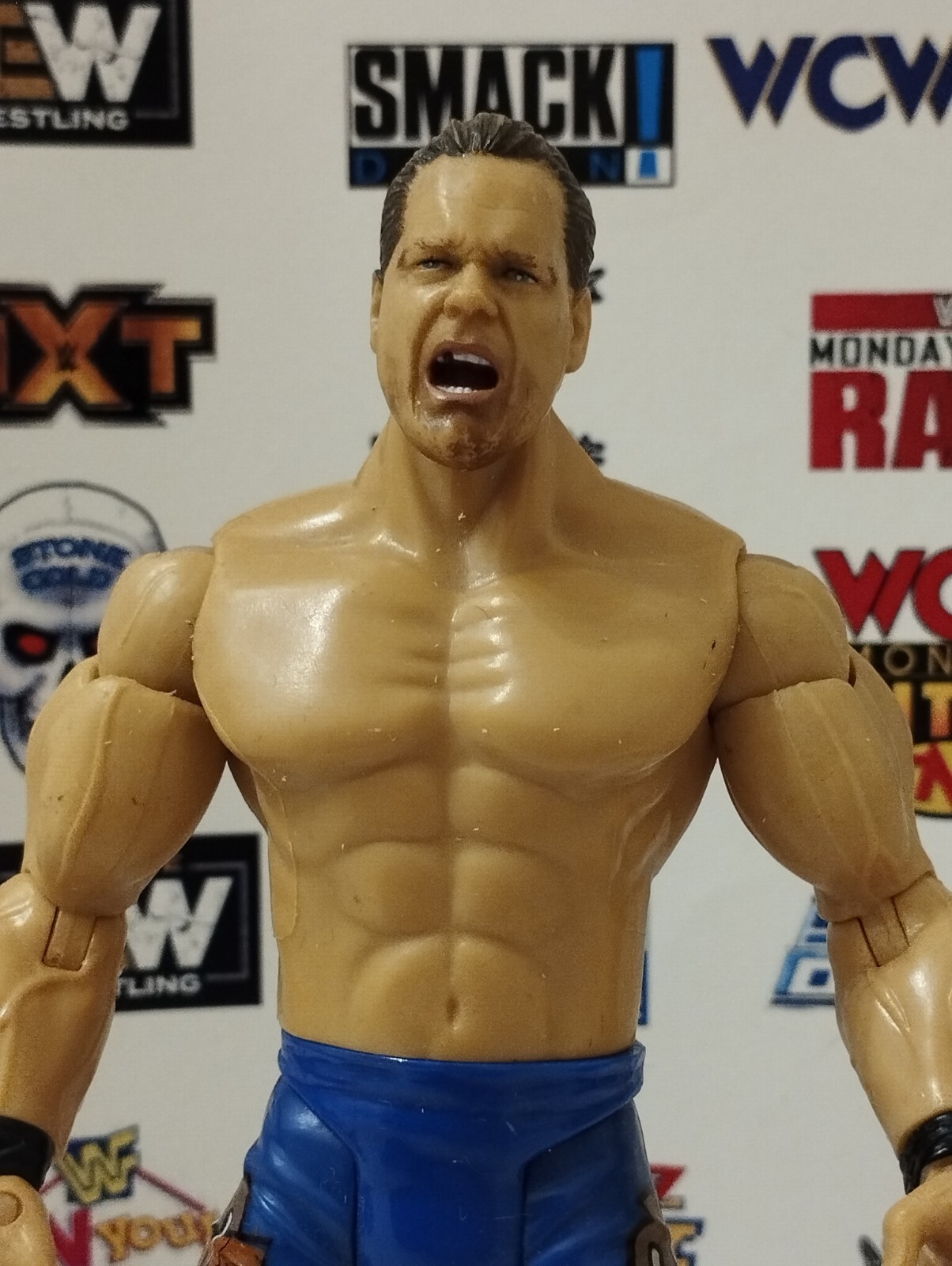 Crime Scene Photos Chris Benoit - 7i24uvf