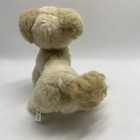 Picture 4 of 10