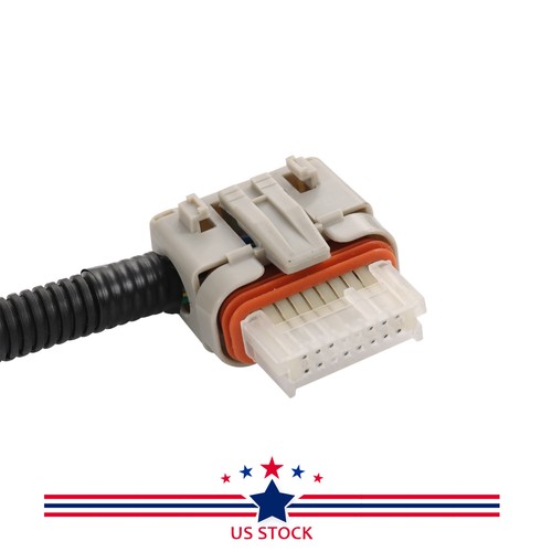 Standalone Wiring Harness 4L60E DBW For 97-04 4.8 5.3 6.0 GM LS1 LS Swap Vortec - Foto 10 di 12