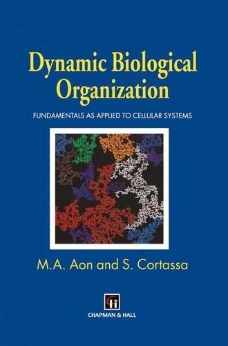 Miguel A. Aon S. Cortassa Dynamic Biological Organization (Paperback) - Picture 1 of 1