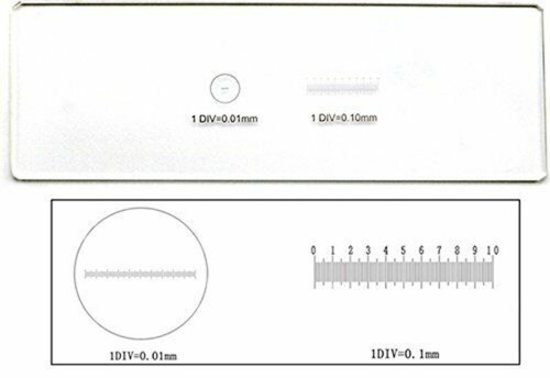 Microscope Stage Micrometer Calibration Slide Graduated Scale Slide 0.1/0.01mm - Picture 5 of 12